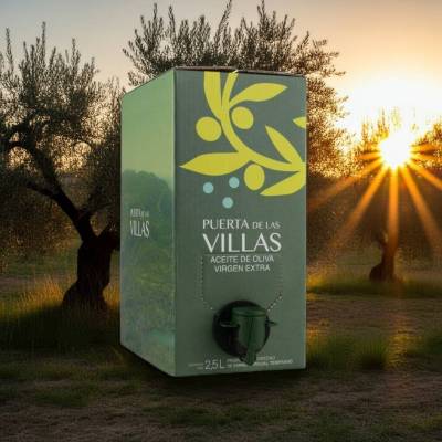 Zielona Oliwa z oliwek Extra Virgin Picual Puerta de las Villas verde 2,5L