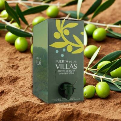 Zielona Oliwa z oliwek Extra Virgin Picual Puerta de las Villas verde 2,5L