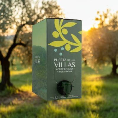 Zielona Oliwa z oliwek Extra Virgin Picual Puerta de las Villas verde 2,5L