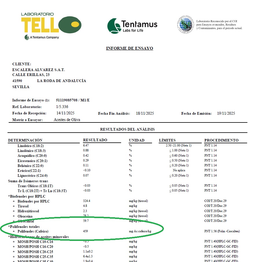 Polifenole w oliwie z wczesnego zbioru