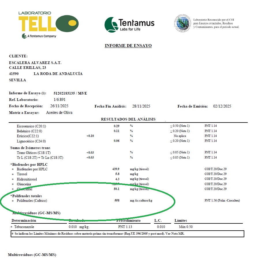Polifenole w oliwie hijiblanca