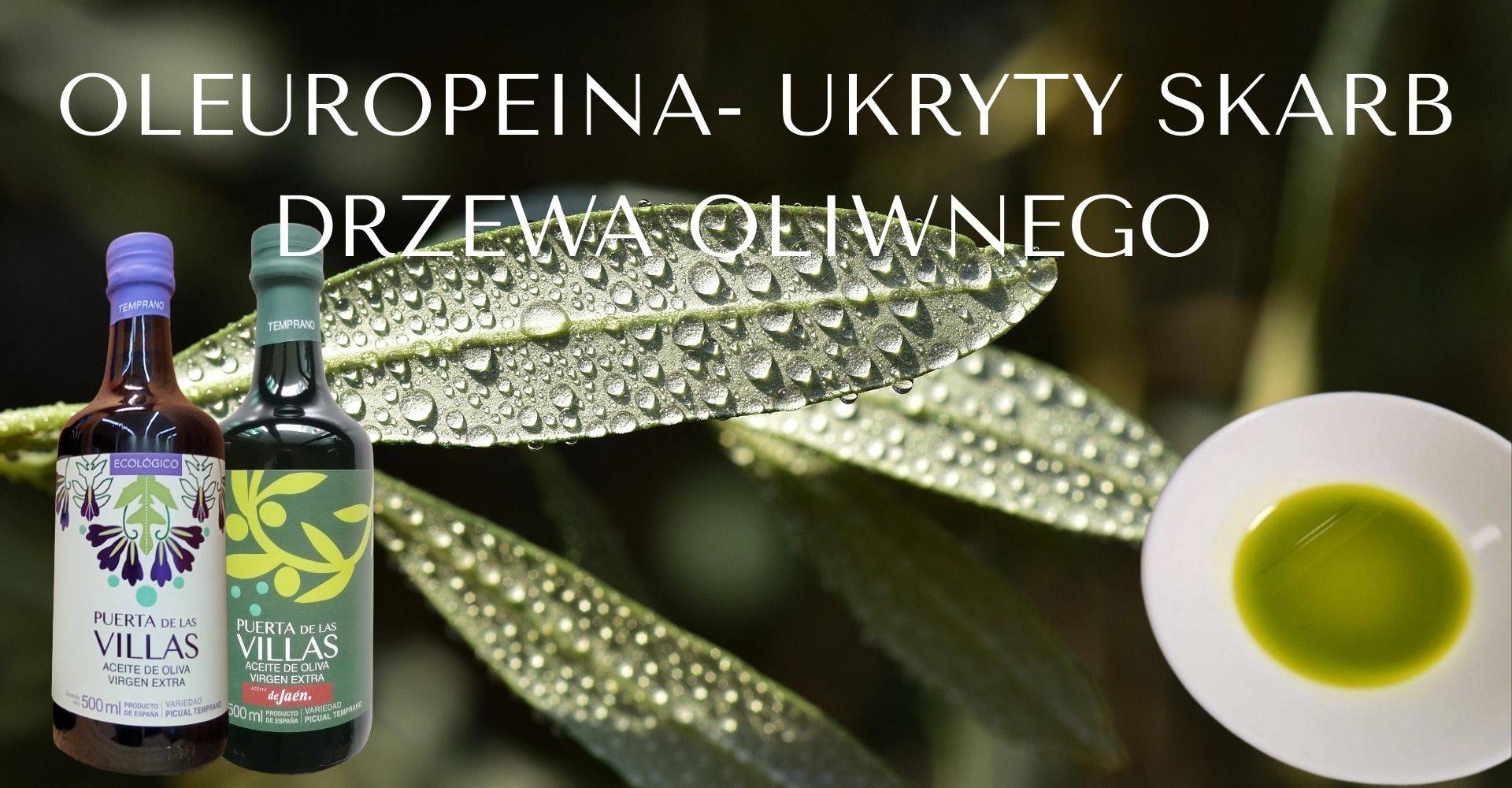 Oleuropeina- ukryty skarb drzewa oliwnego