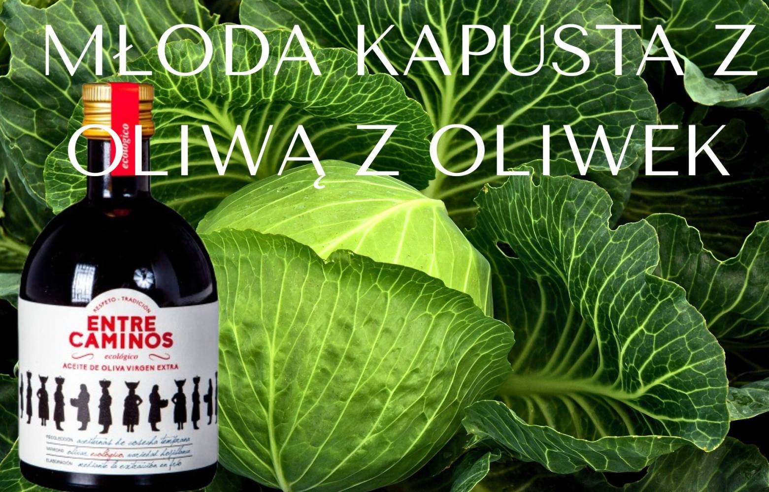 Młoda kapusta z oliwą z oliwek