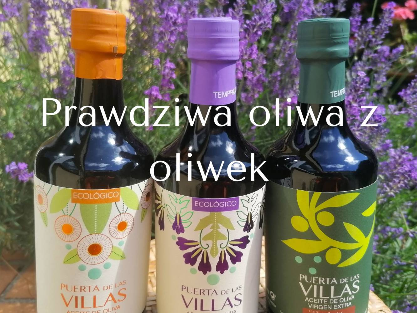 Prawdziwa oliwa z oliwek! Jak wybrać dobrą oliwę z oliwek?