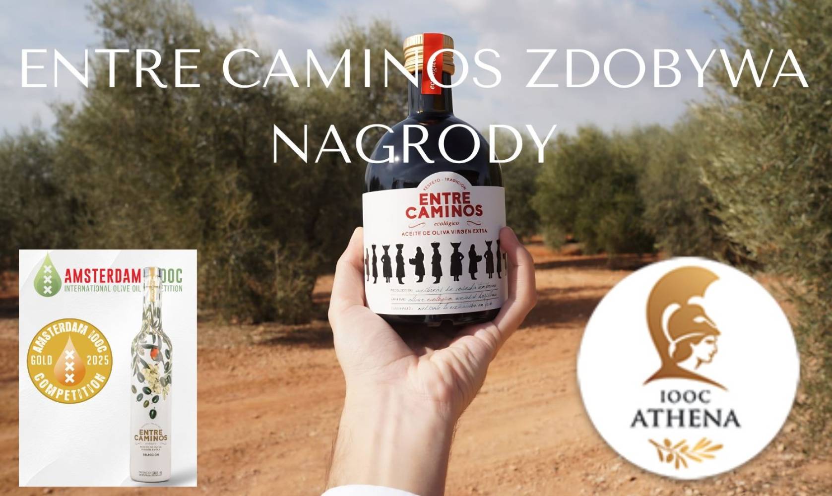 Sukces Entre Caminos na ATHENA IOOC – a to dopiero początek nagród