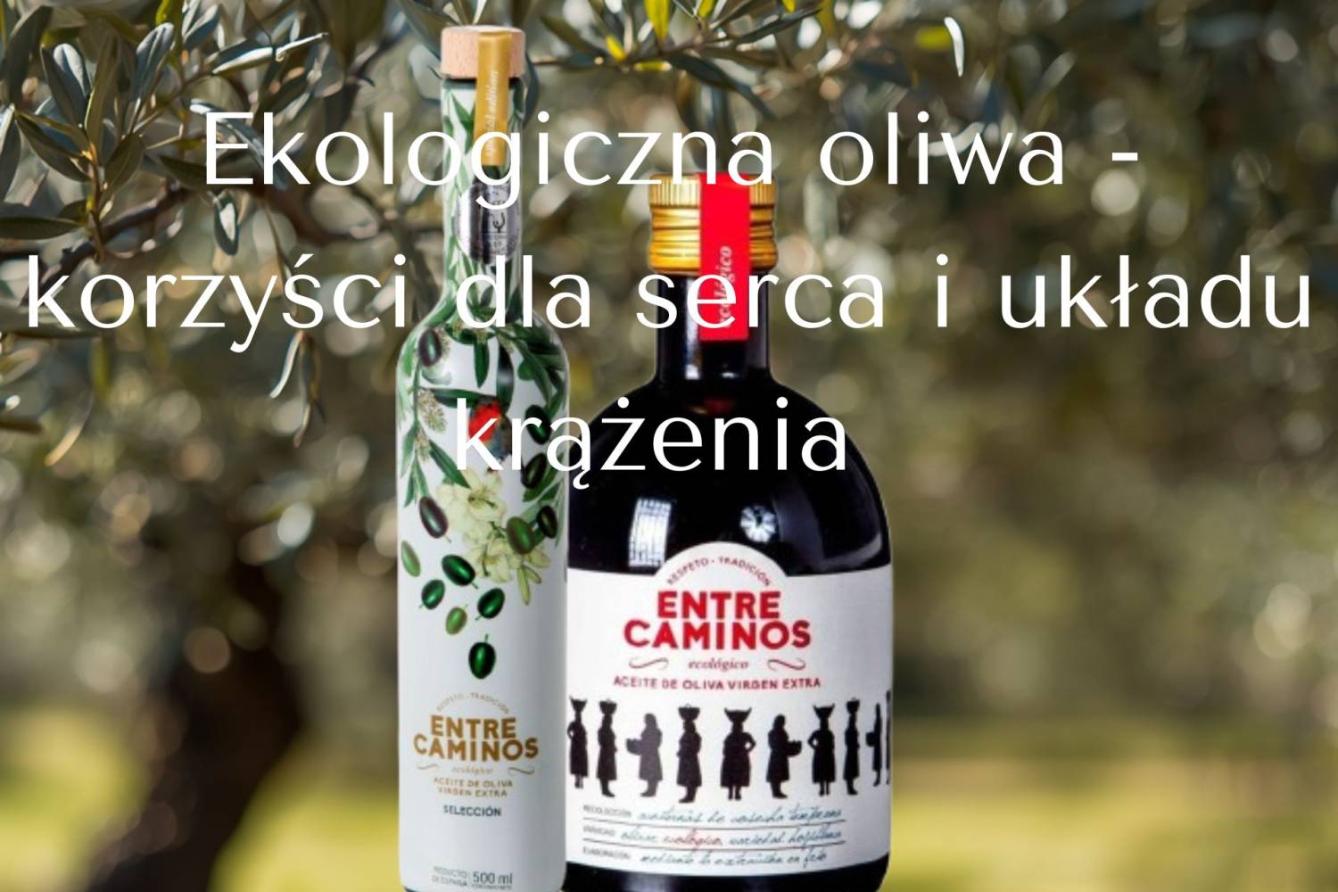 Ekologiczna oliwa z oliwek - potwierdzone naukowo korzyści dla serca i układu krążenia 